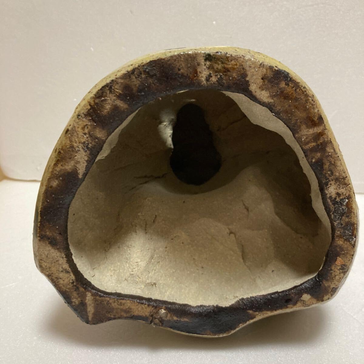 Amazon.co.jp: 信楽焼狸置物陶器狸庵春画松茸 303 : ホーム＆キッチン